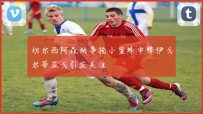 切尔西阿森纳争抢小蜜蜂中锋伊戈尔蒂亚戈引发关注